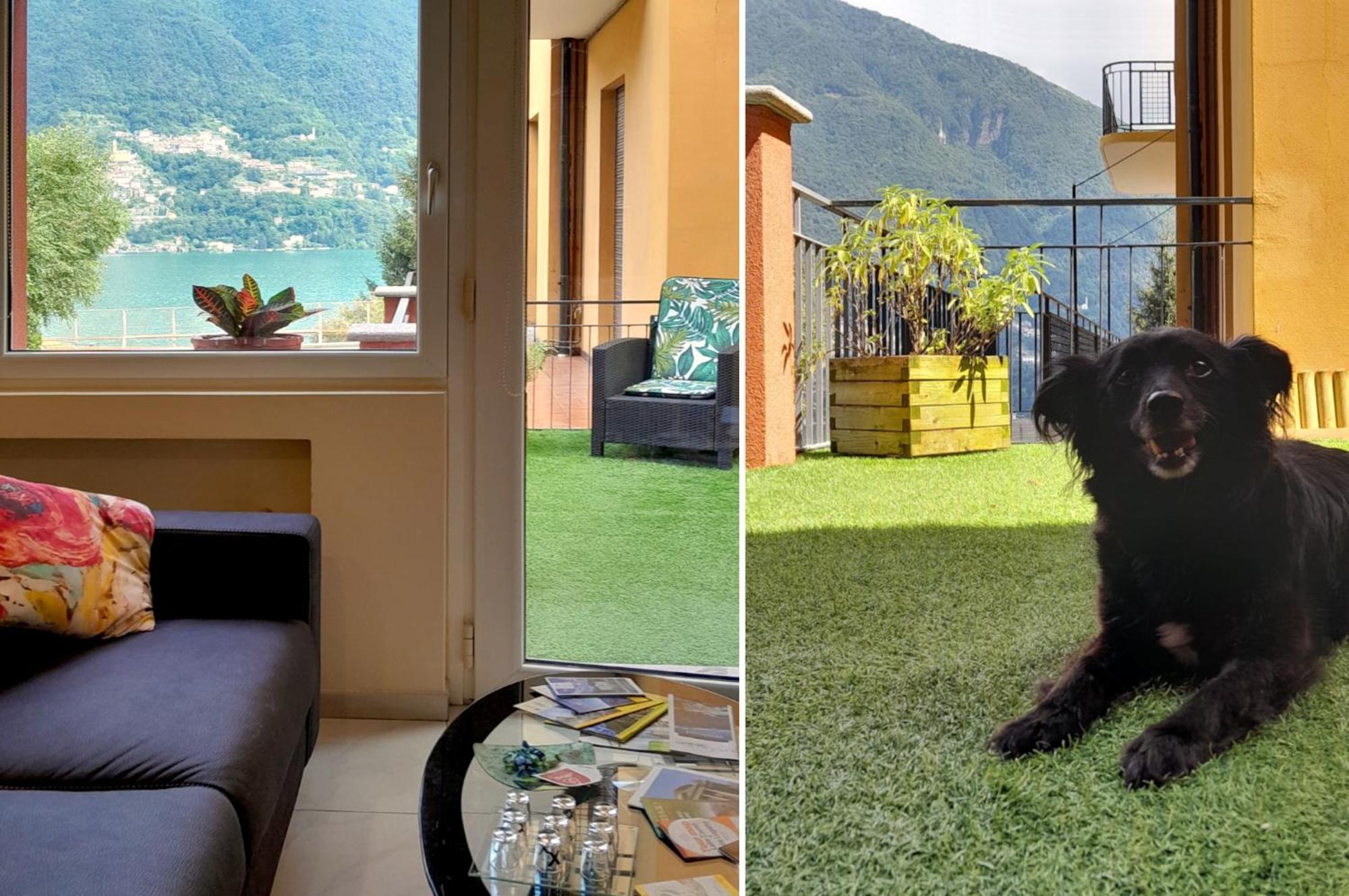 Appartamento La Casina Laglio Esterno foto